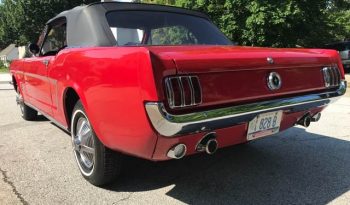 Ford Mustang Cabrio 1965 rot voll