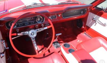 Ford Mustang Cabrio GT 350 clone BJ 1965 Rot/Weiss voll