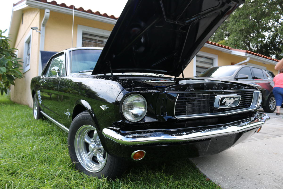 1966fordmustangcoupeschwarzelvira10 NR Classic Car Collection