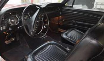 Ford Mustang 390 GT, BJ 1968 Rot voll