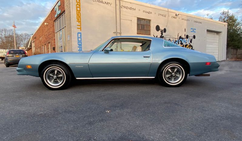 1976 Pontiac Firebird Baby Blue voll