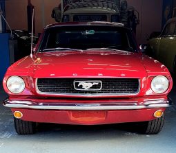1966 Ford Mustang Rot