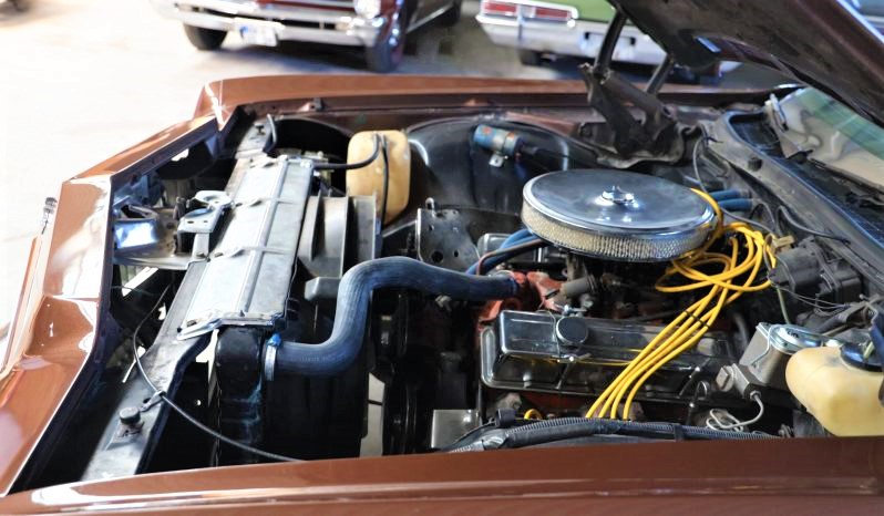 1973 Chevrolet Caprice voll