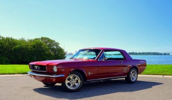1966 Ford Mustang Rot voll