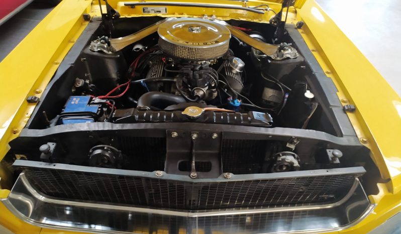 Ford Mustang 1967 Gelb/Schwarz voll