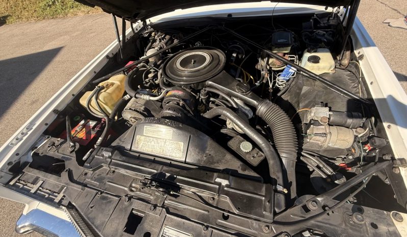 1984 Cadillac Biarritz Eldorado Weiß/Weiß voll