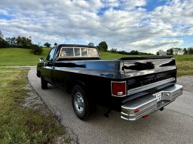 1979 Chevrolet C20 Pickup Schwarz/Braun