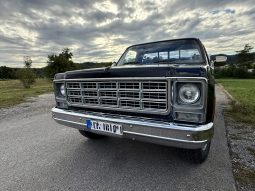 1979 Chevrolet C20 Pickup Schwarz/Braun voll
