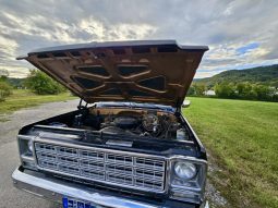 1979 Chevrolet C20 Pickup Schwarz/Braun voll