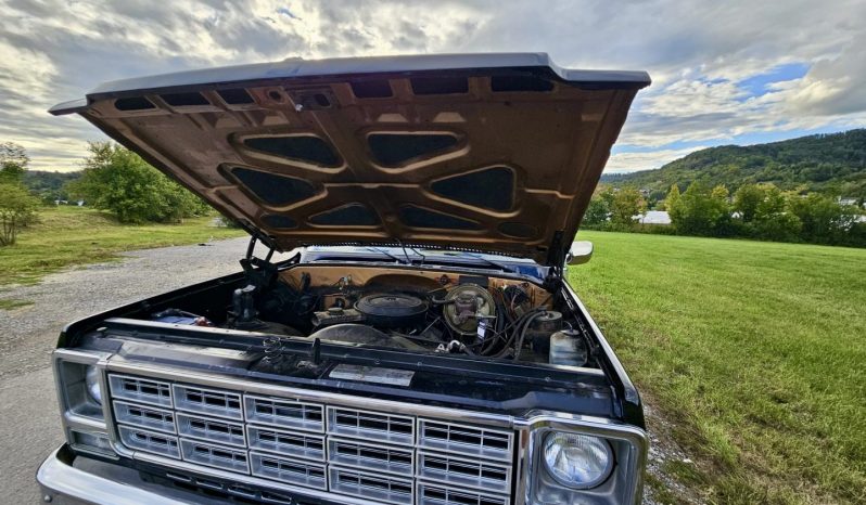 1979 Chevrolet C20 Pickup Schwarz/Braun voll